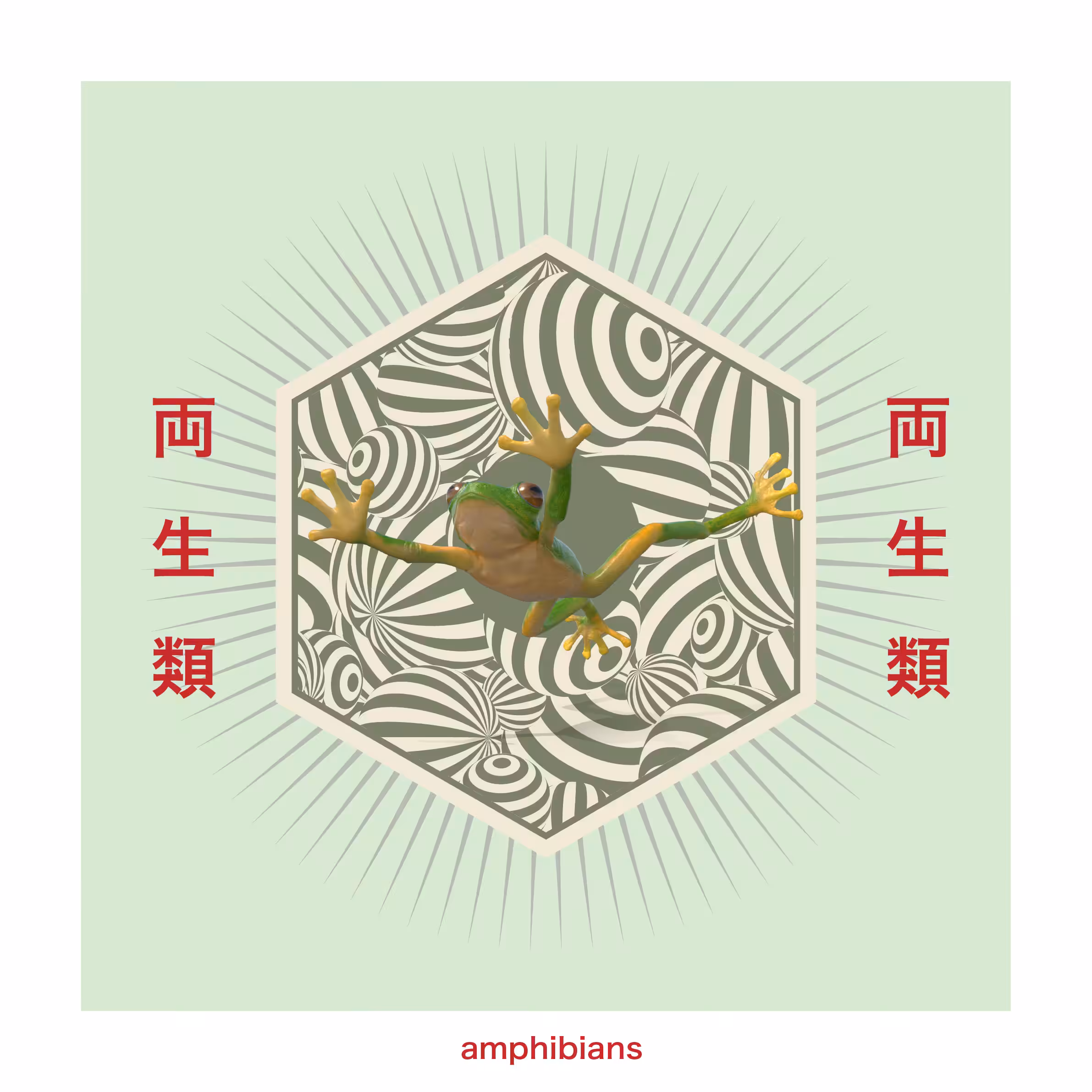 Amphibians