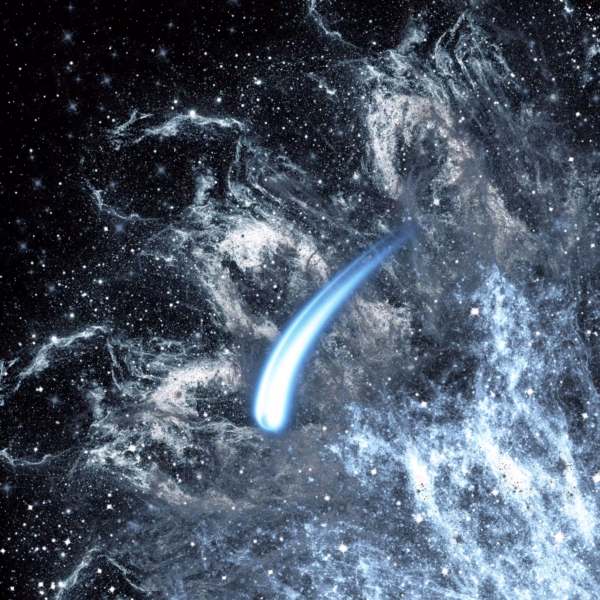 MAKE A WISH! ( 82.Star )
