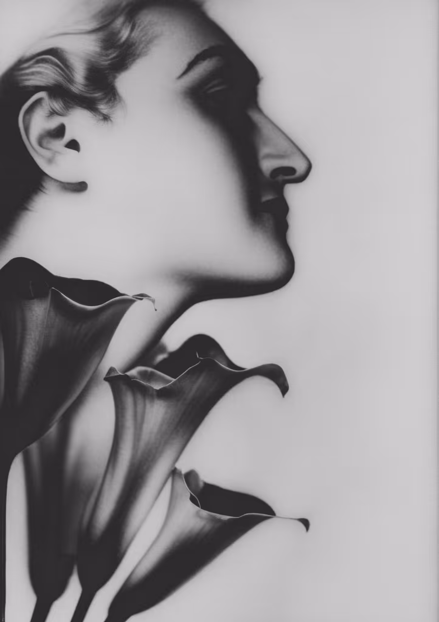 Calla Lily, Silver Gelatin Print (developing-out-process), 1931