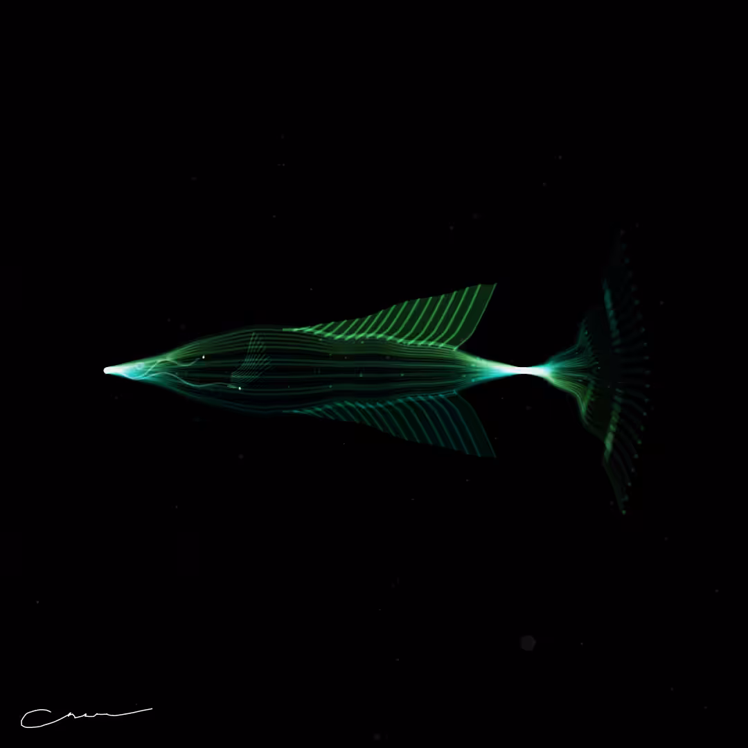 SoulFish #41