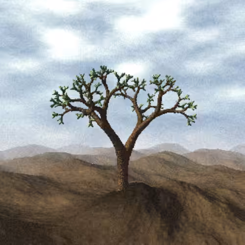 Lonely Tree #70