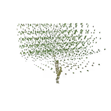 PoeTree