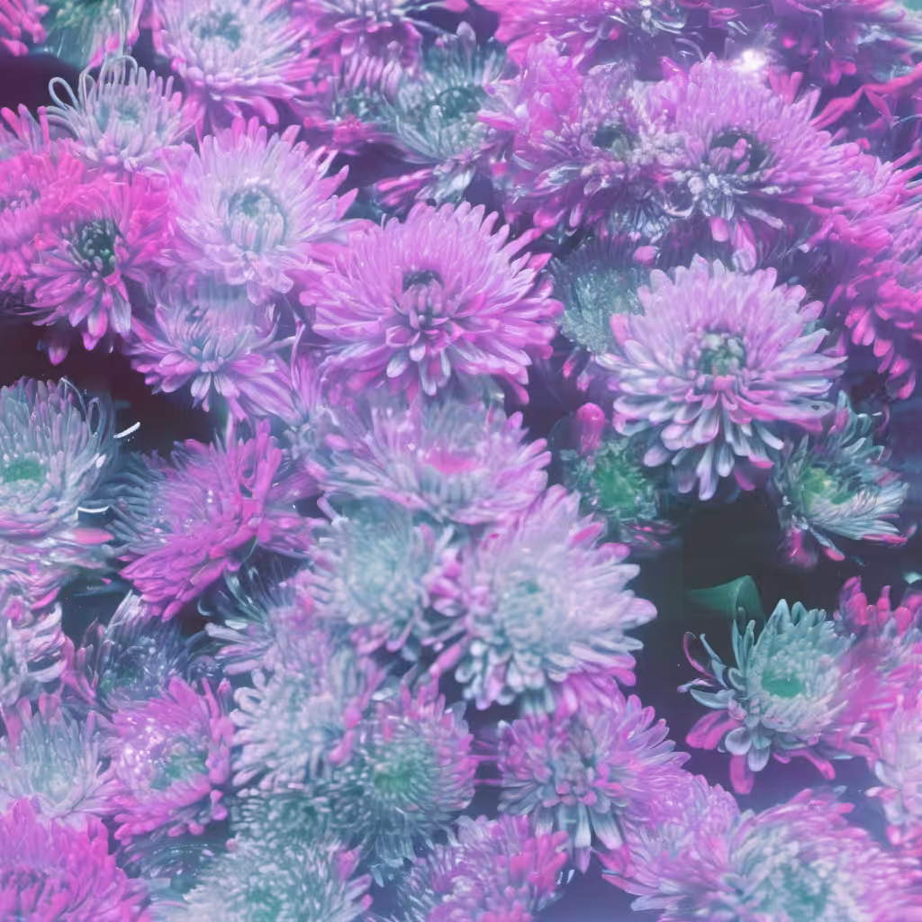 Bloom #3