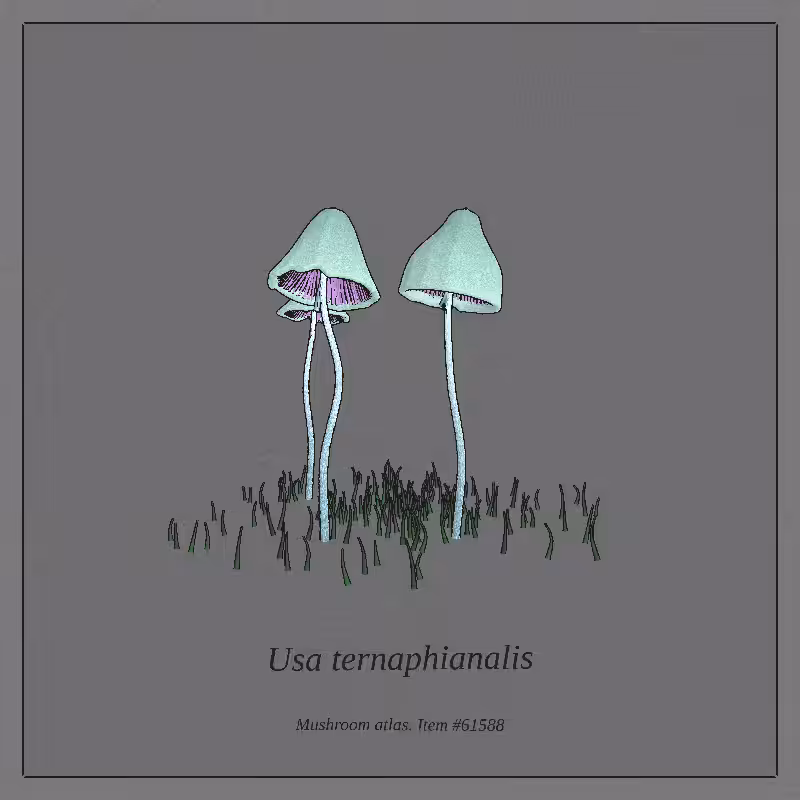 Mushroom Atlas #40