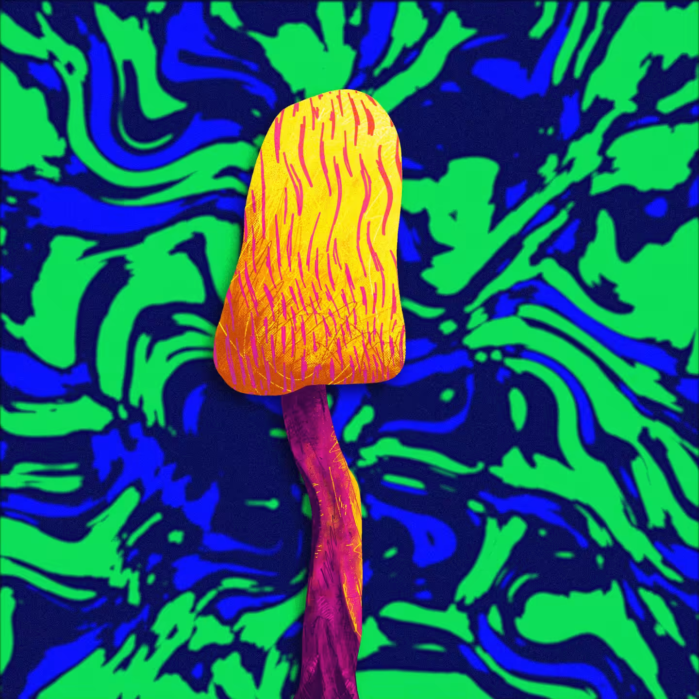 Enoki 