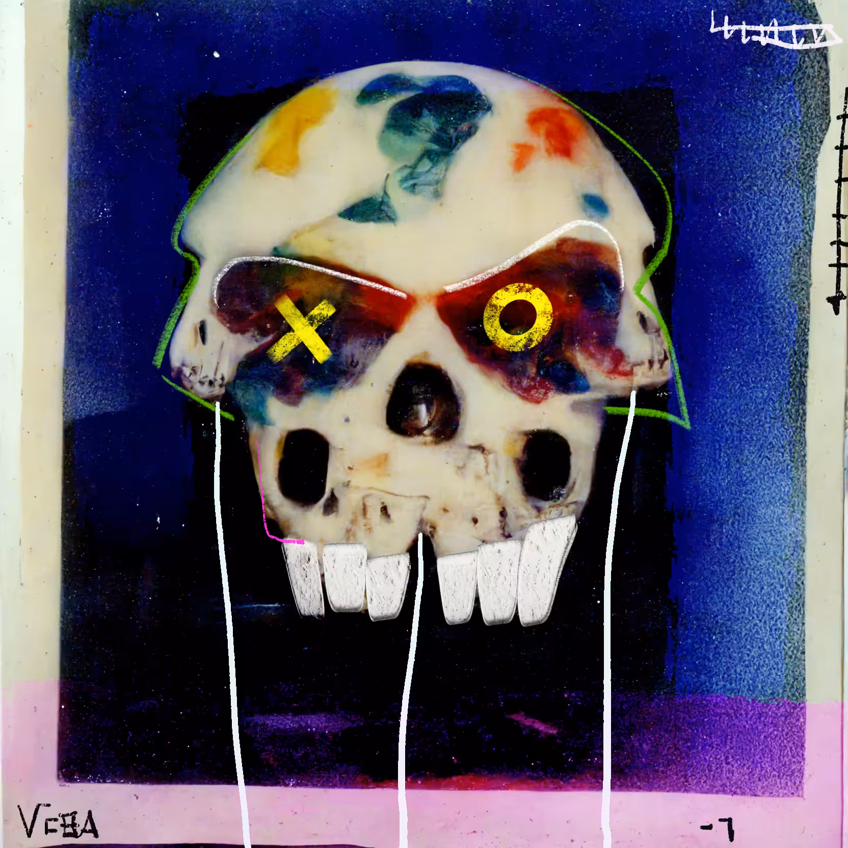 POLAROID SKULL 001