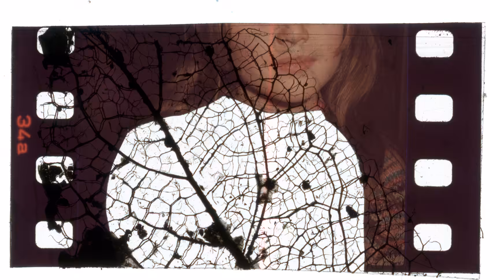 Selfportrait