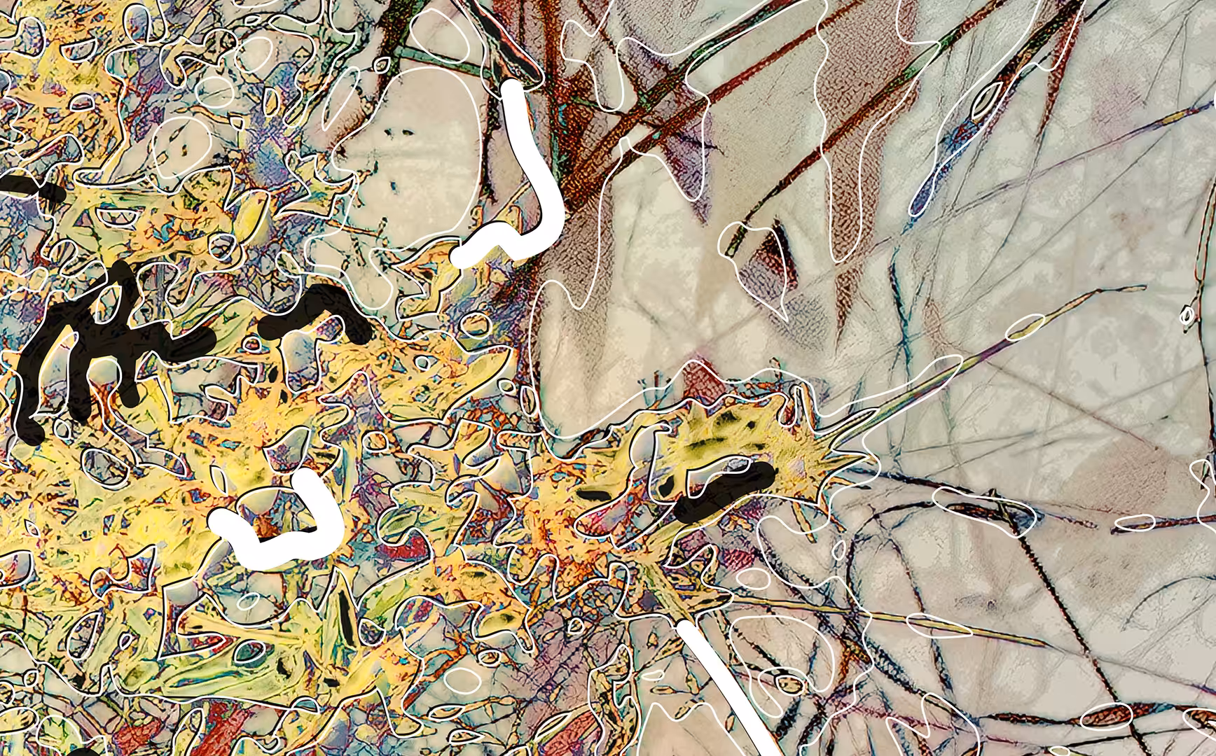 All In (detail of a bigger picture) 1
