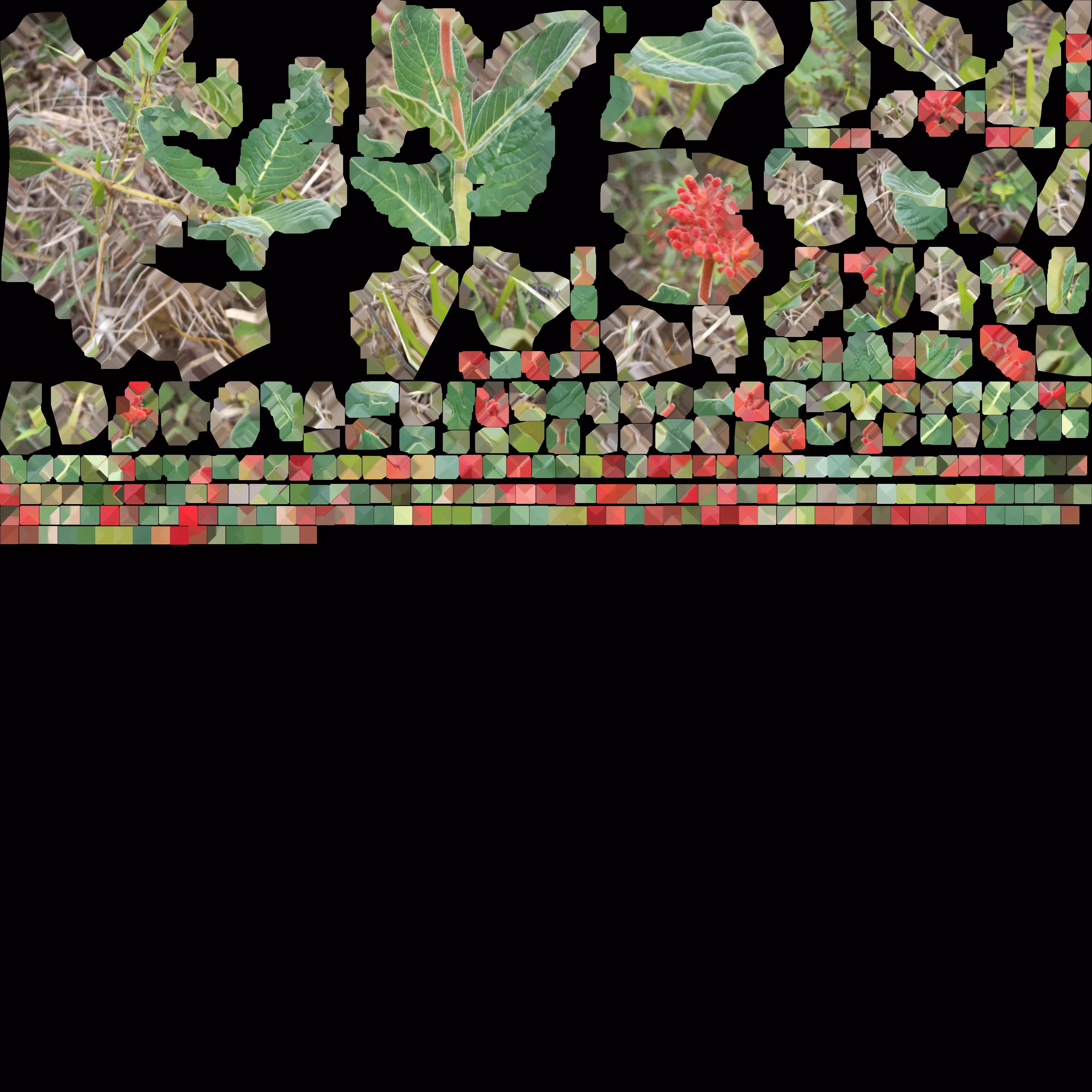 cartographic decomposition