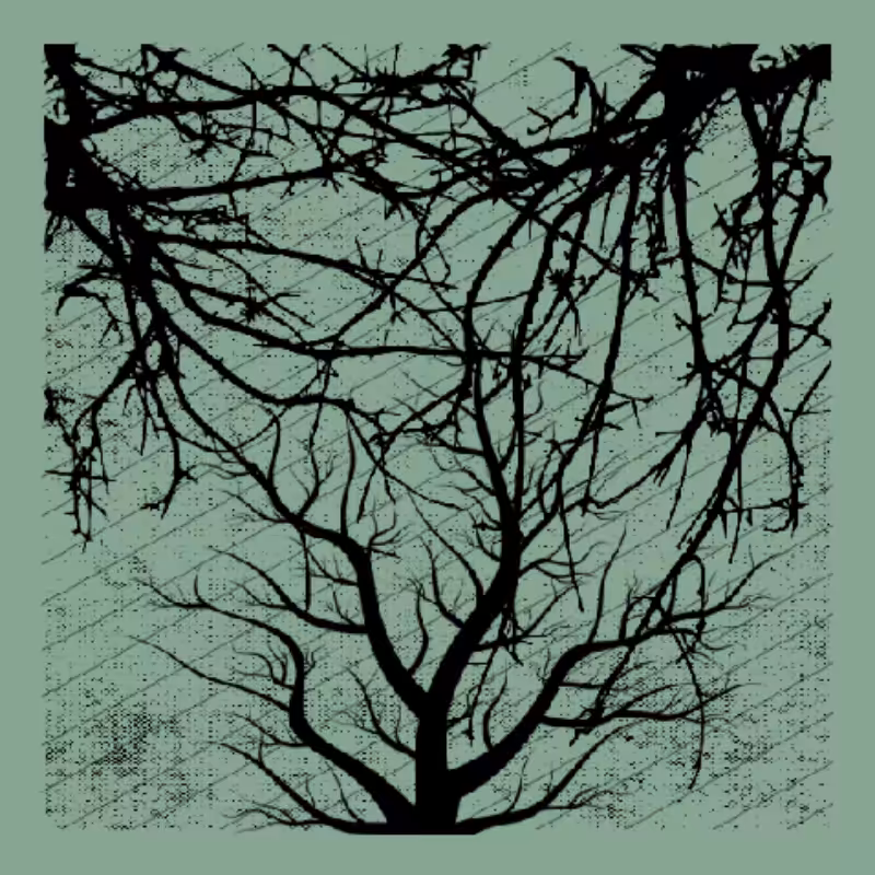 Forest of Shadows #63