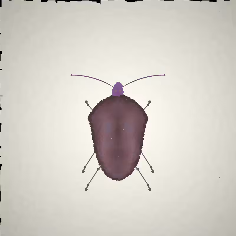 Beetle Sketches #8