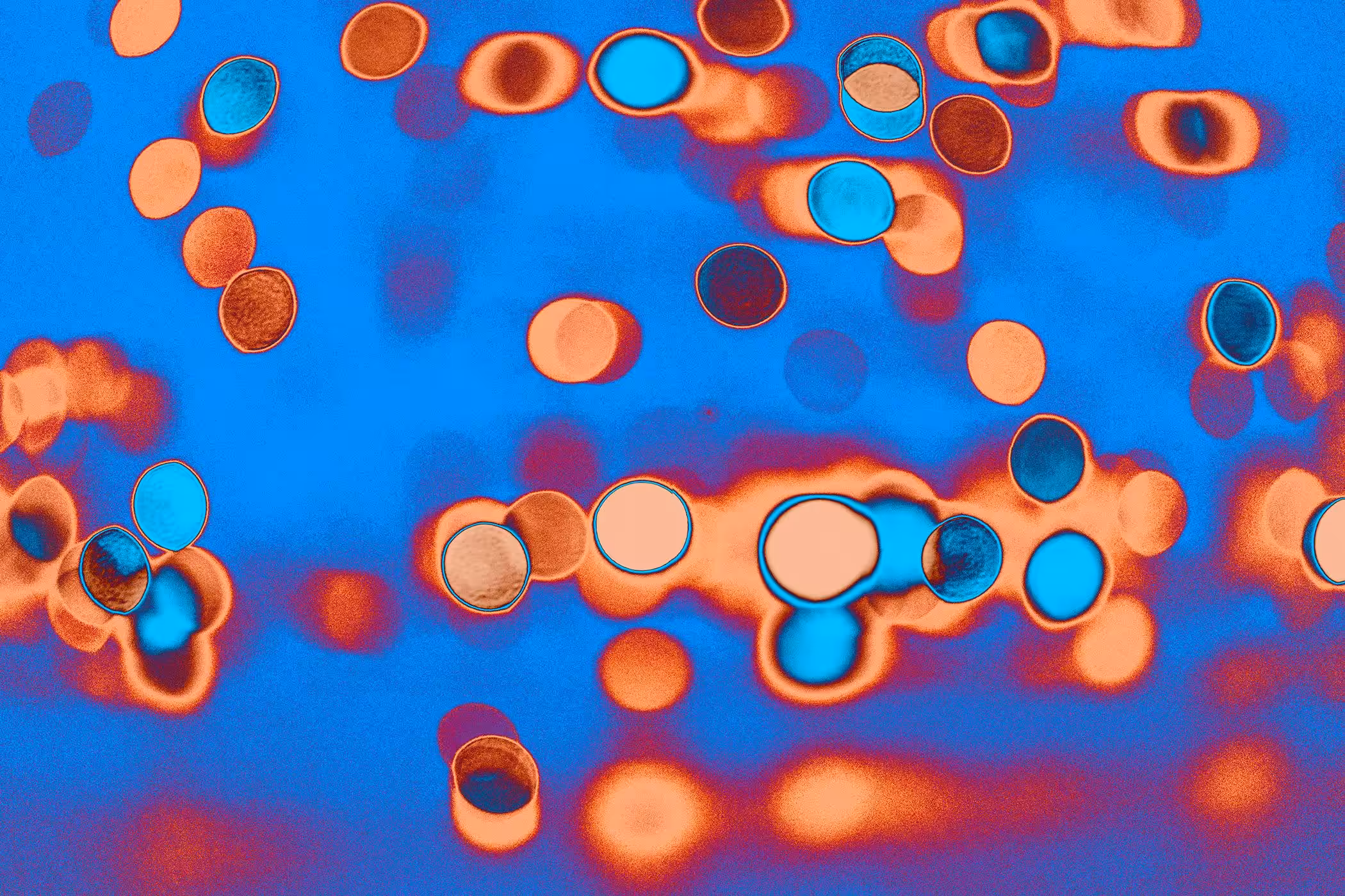 Night Lights Ad Infinitum 