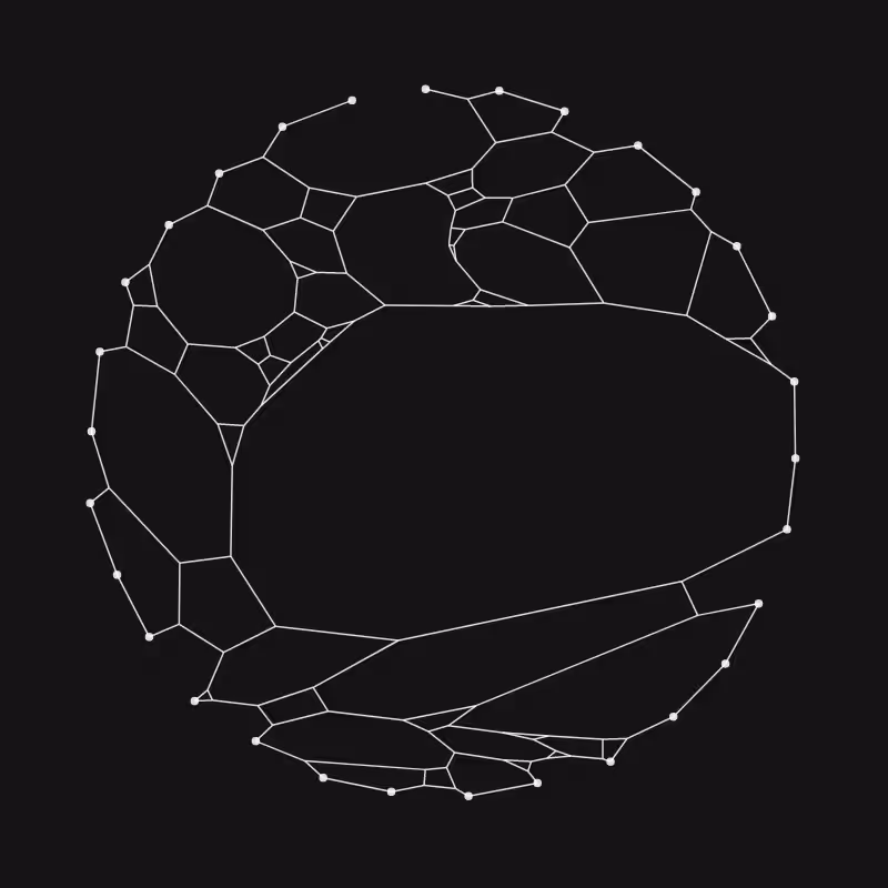 Elastic Web #19