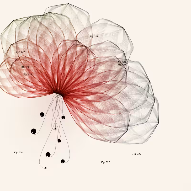 Herbarium #445
