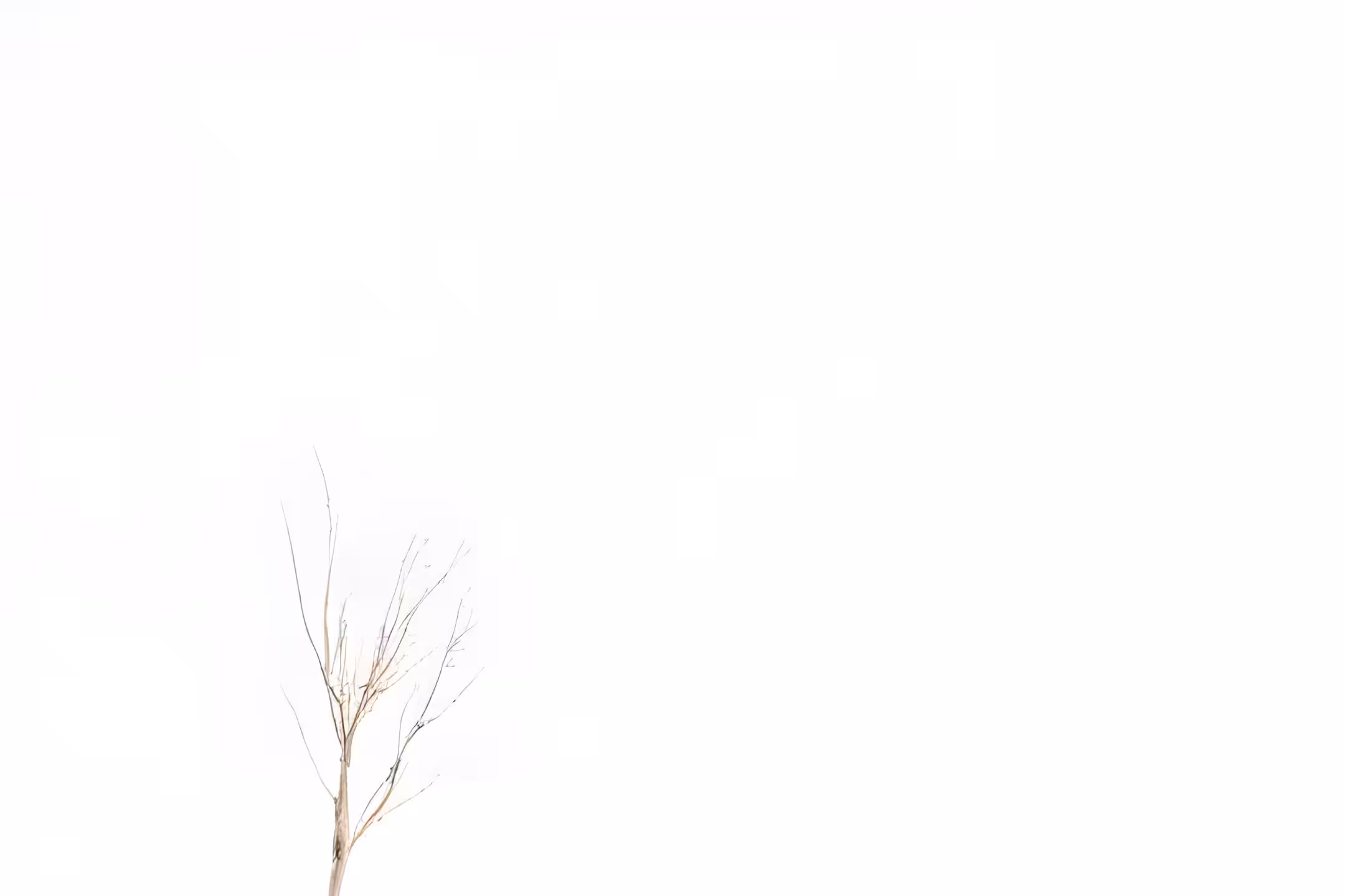 Minimal