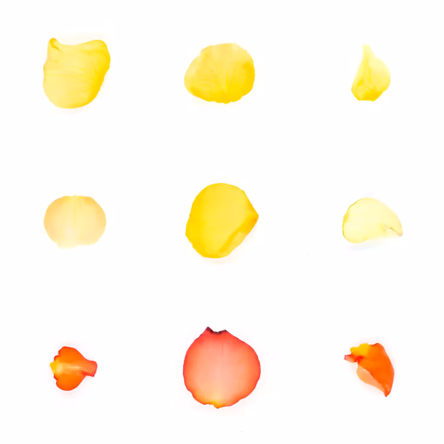 Infinite Petals 3x3#20453