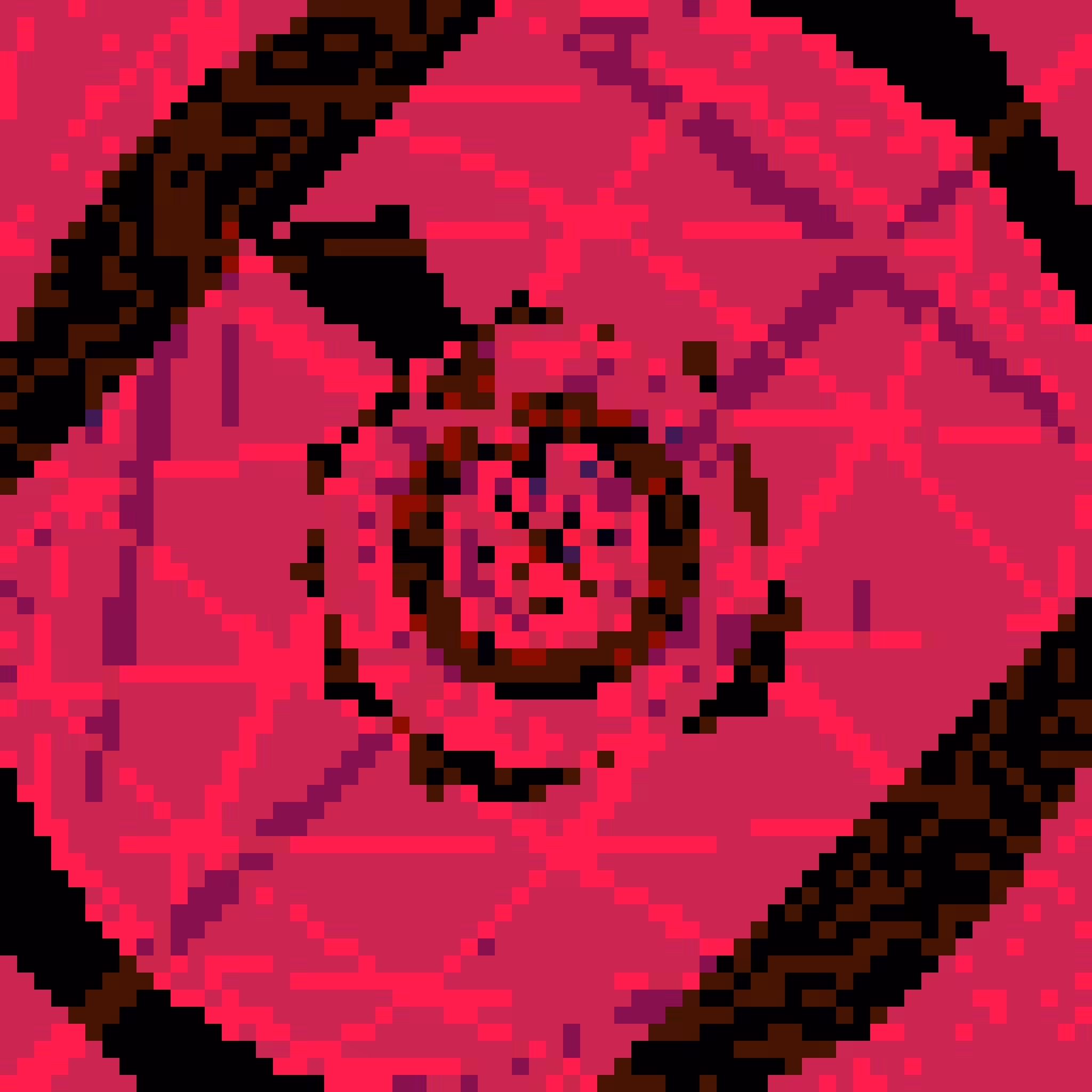 Voidroses #37