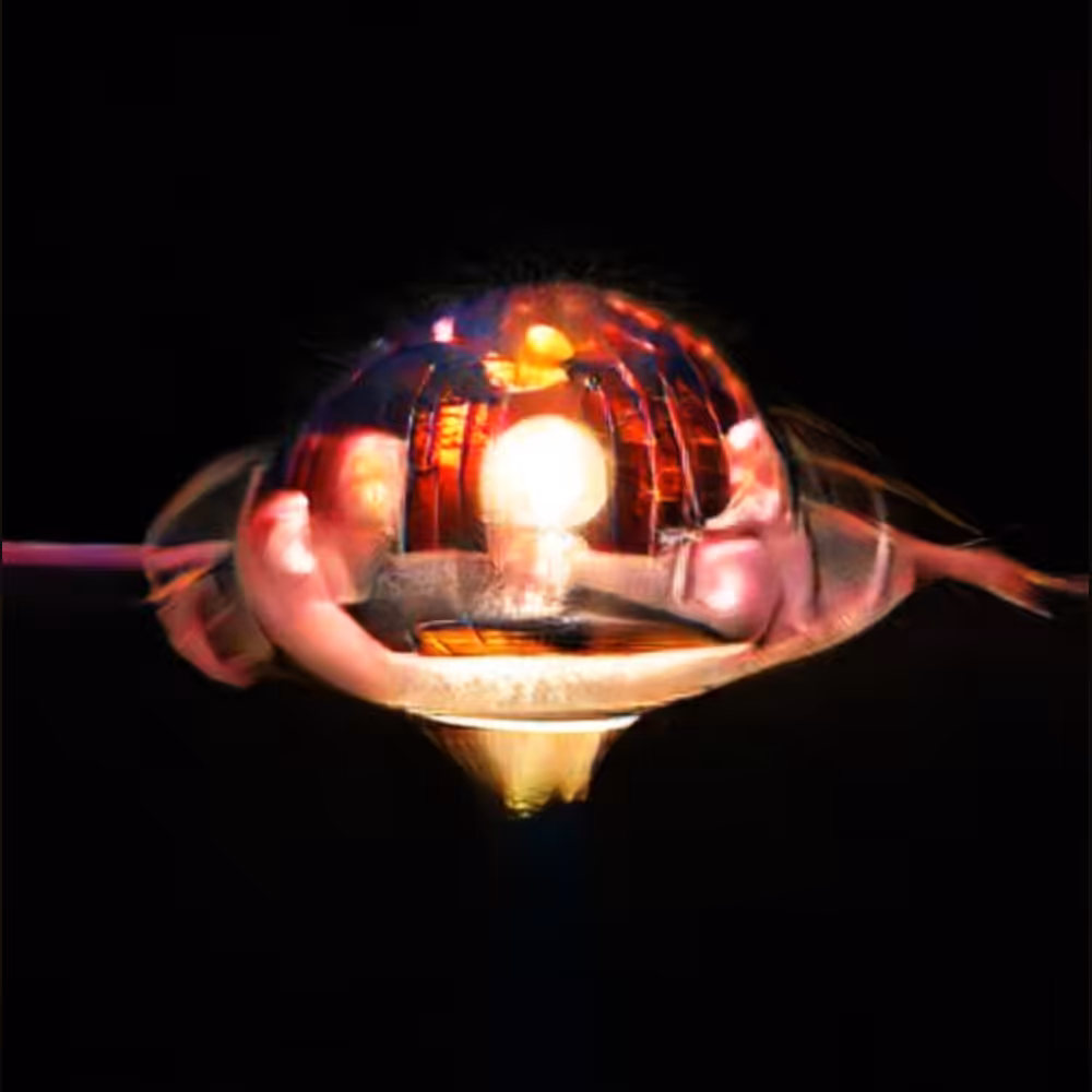Astrogenes - 2 (Volcano)