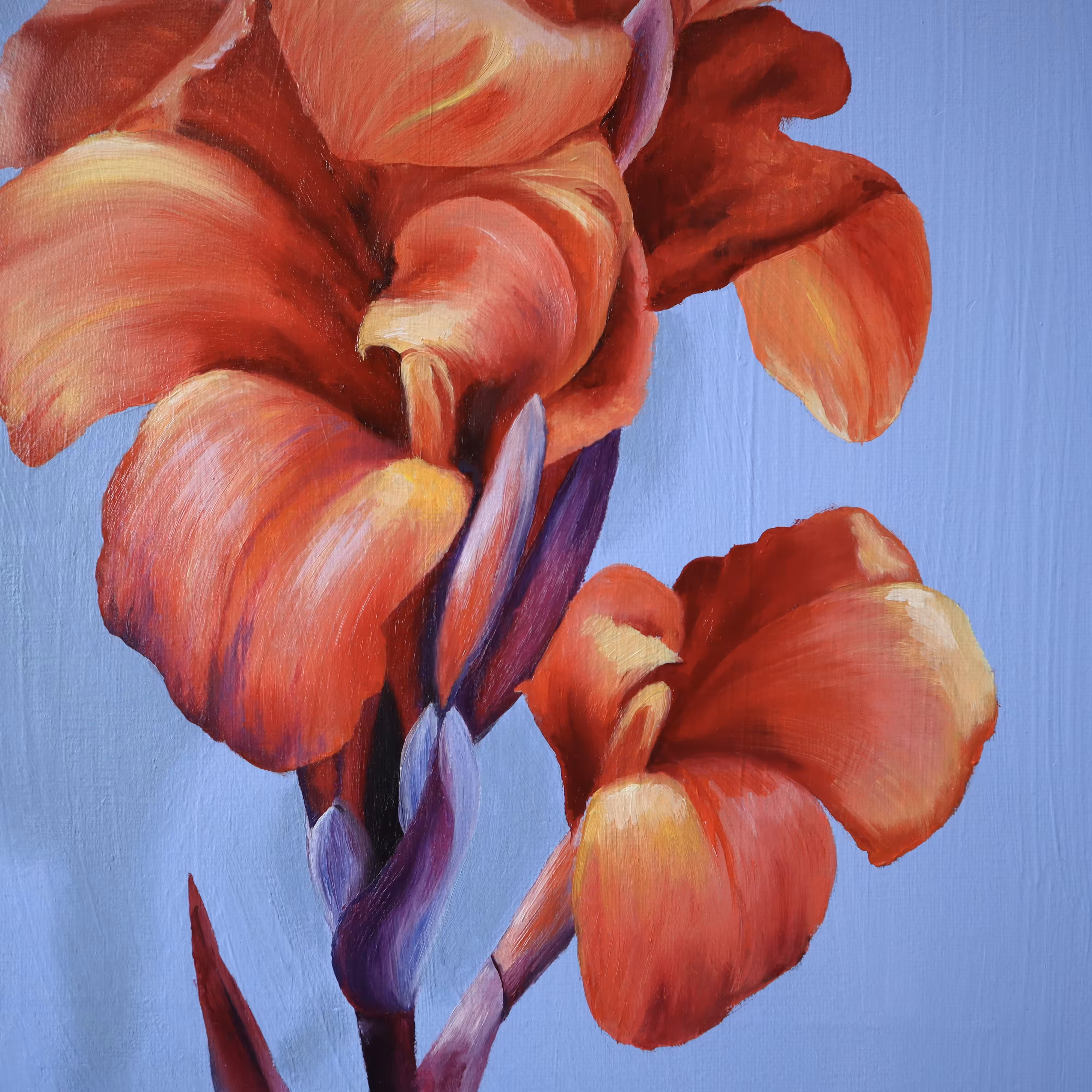 Tropical Blooms I