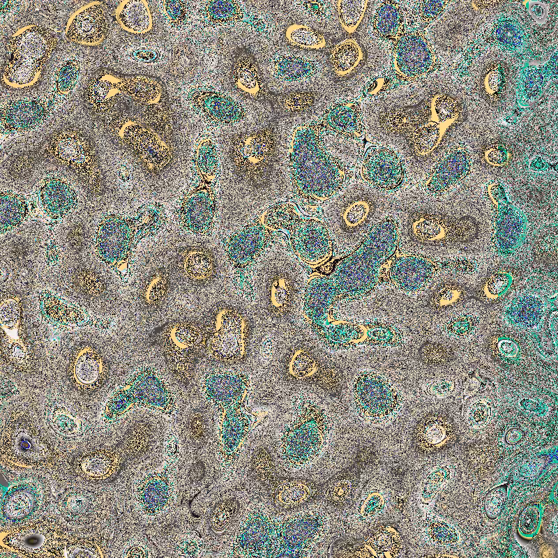 Bacteria Scanner #51