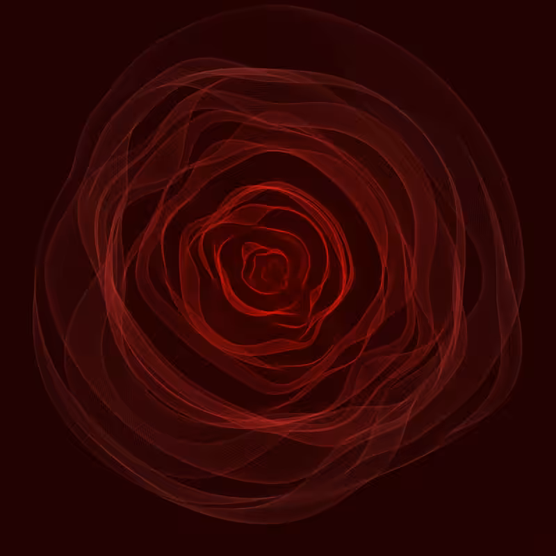 Roses #16