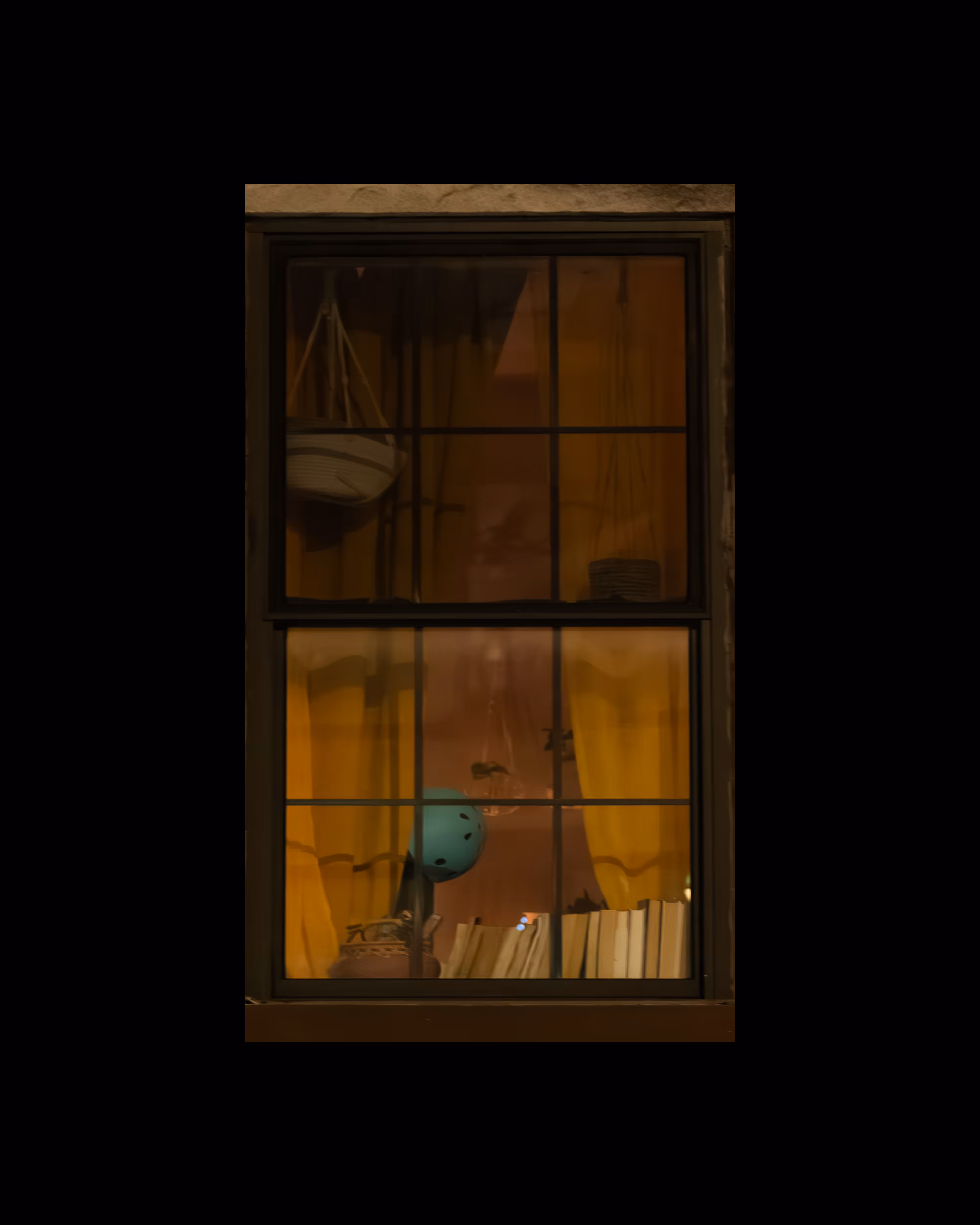 WINDOW 553