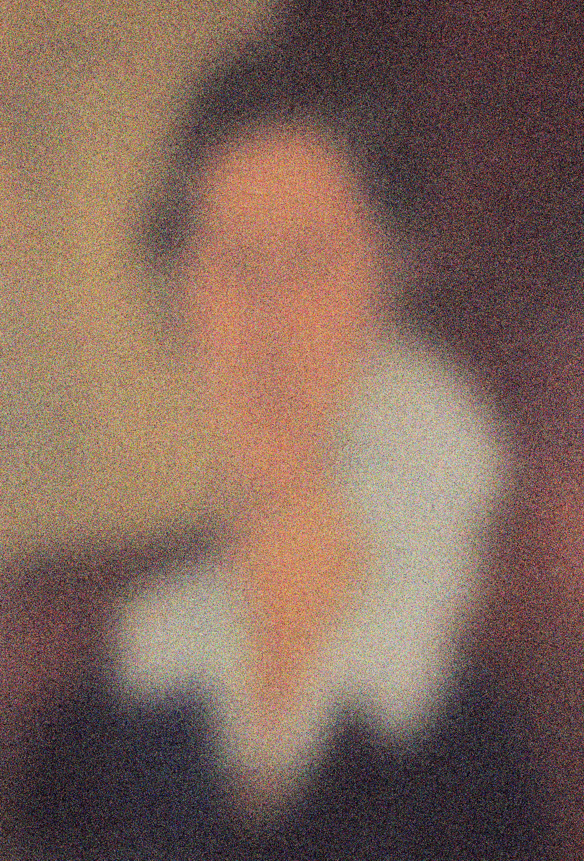 PORTRAIT OF HANKA ZBOROWSKA