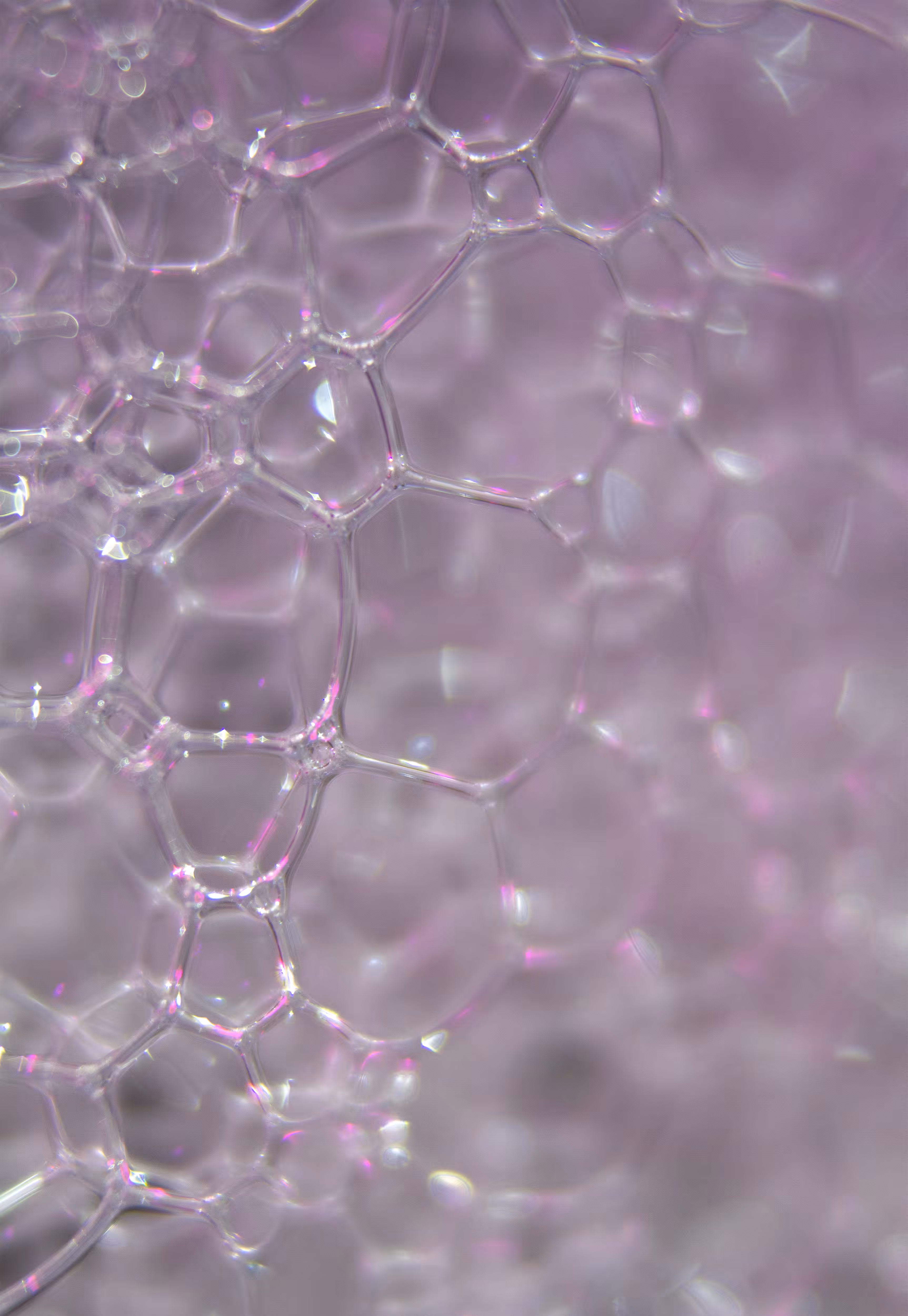 #119 Bubbles