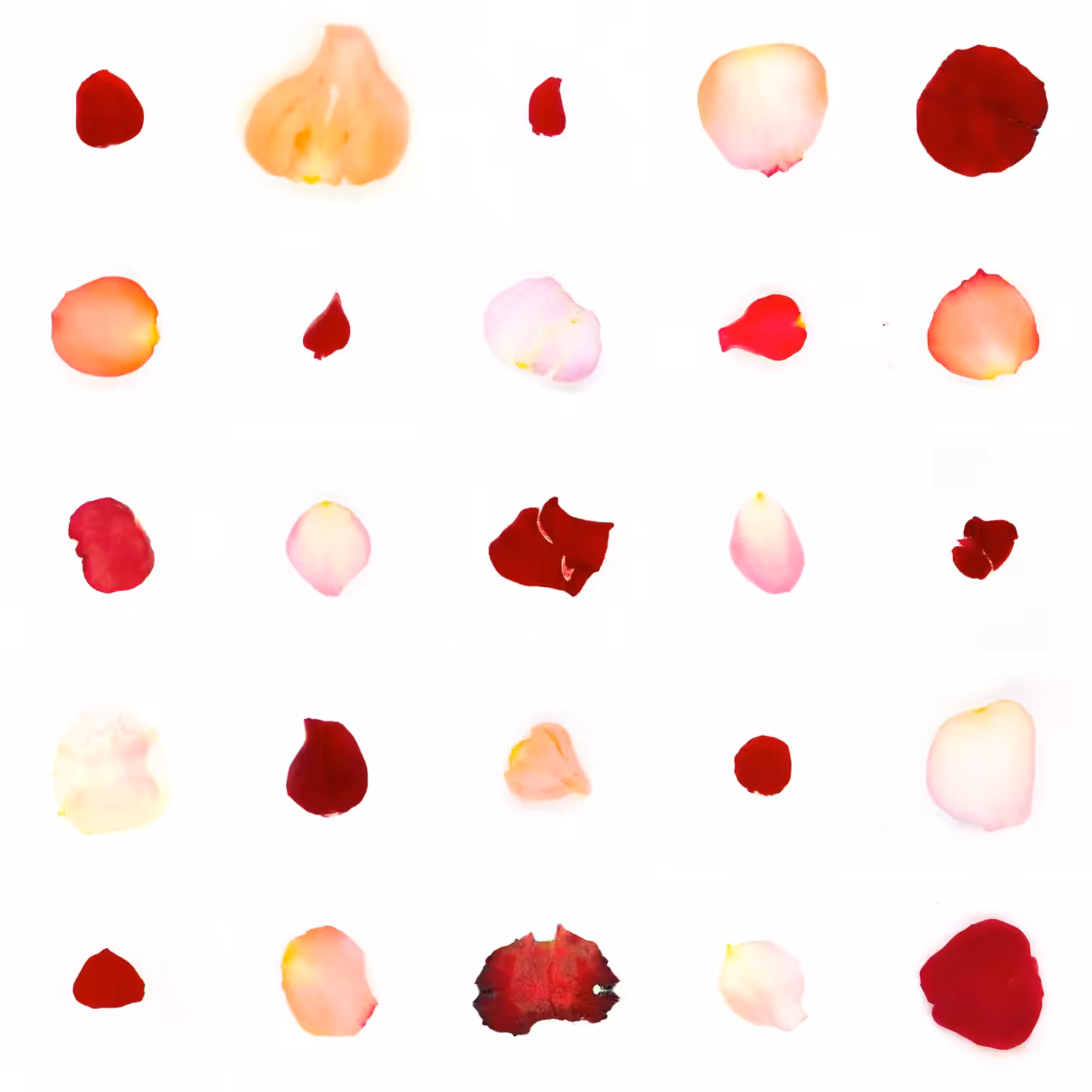 Infinite Petals 5x5#2627