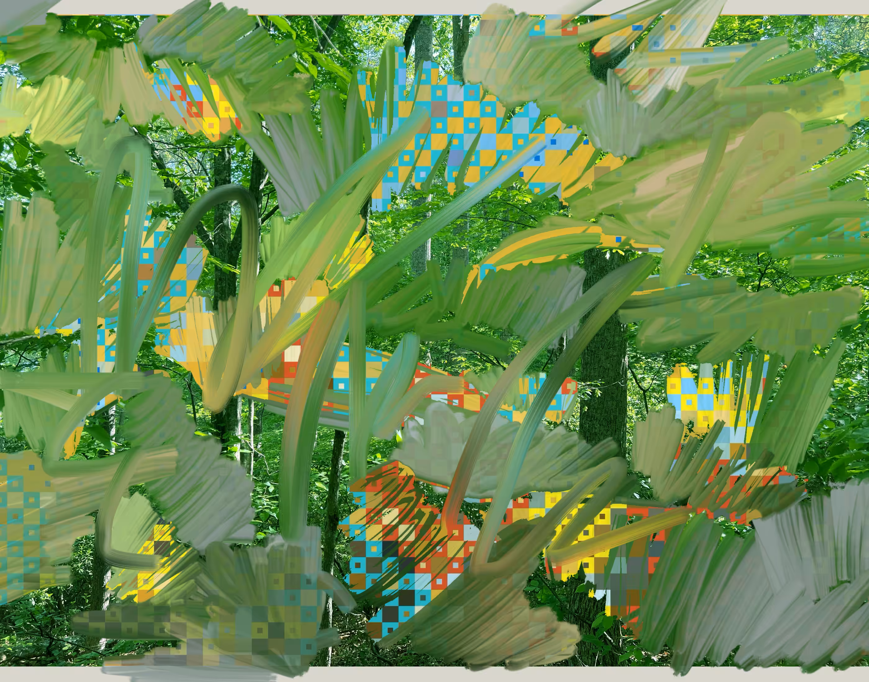 Canopy Enliven