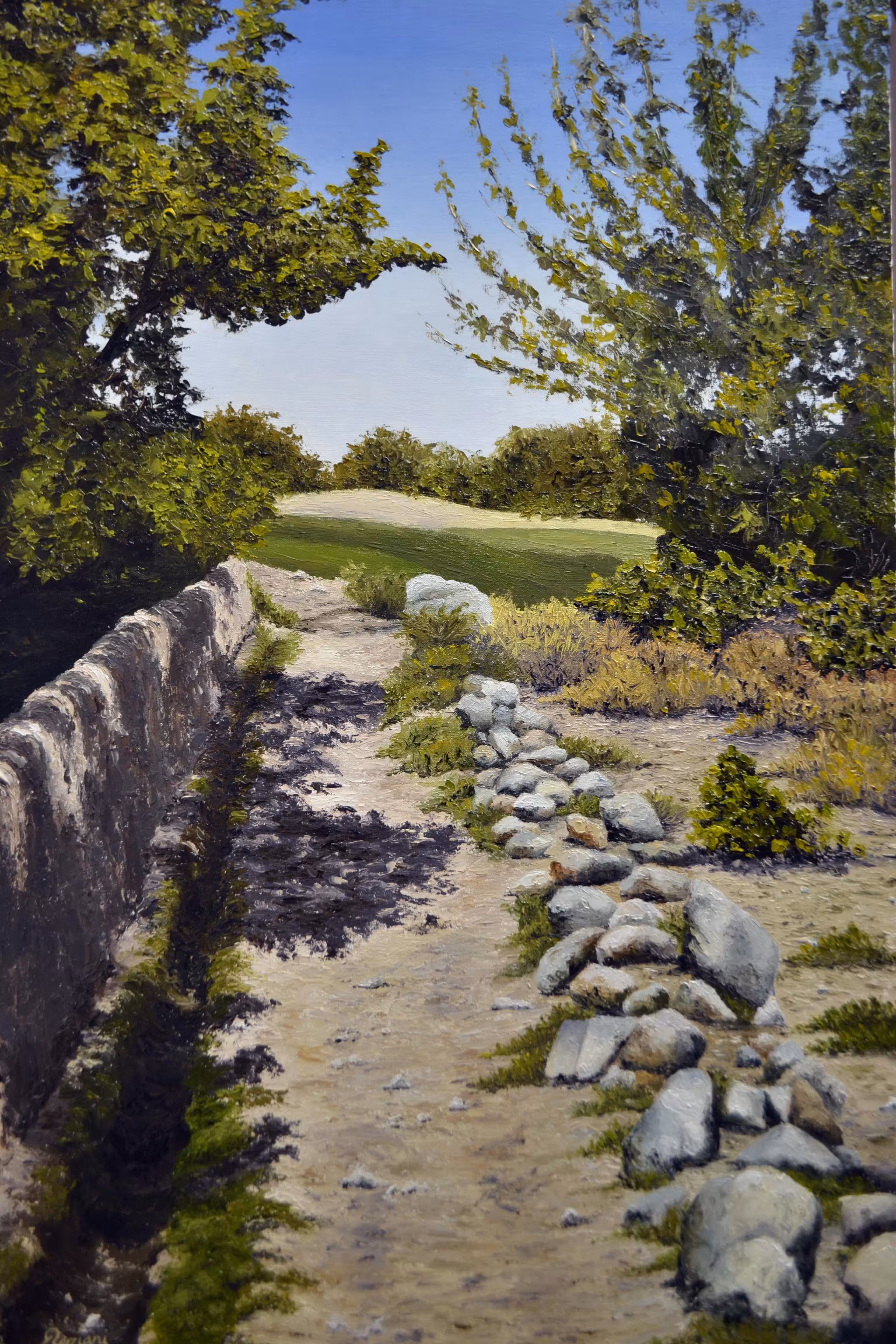Alleys and gardens