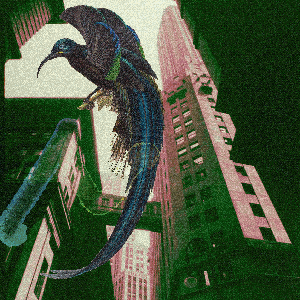 Concrete Perch
