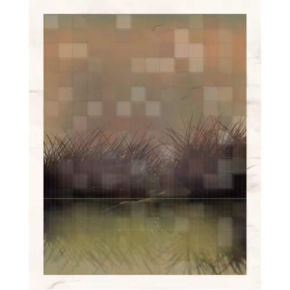 Self-reflection #46