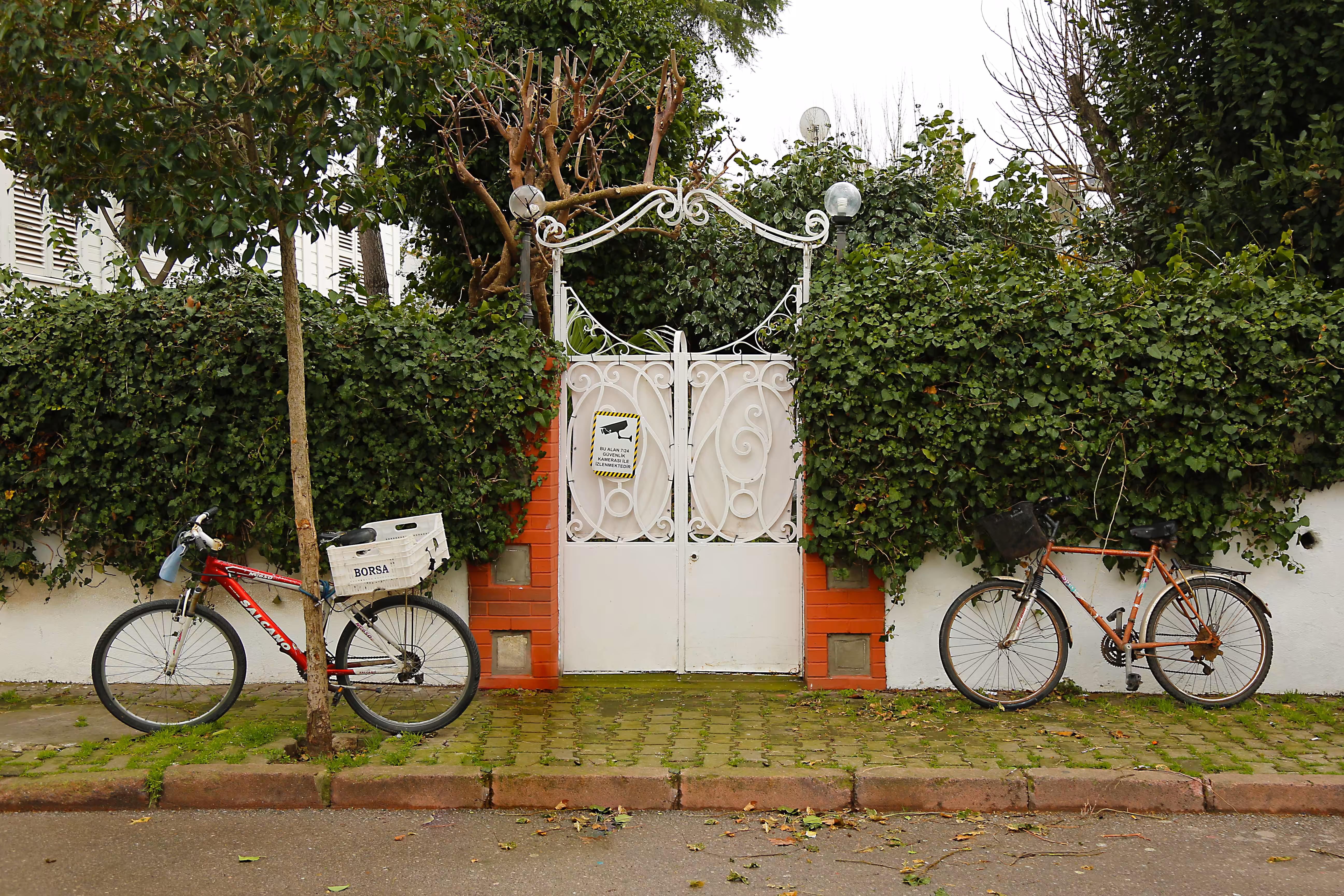 The bikes are resting