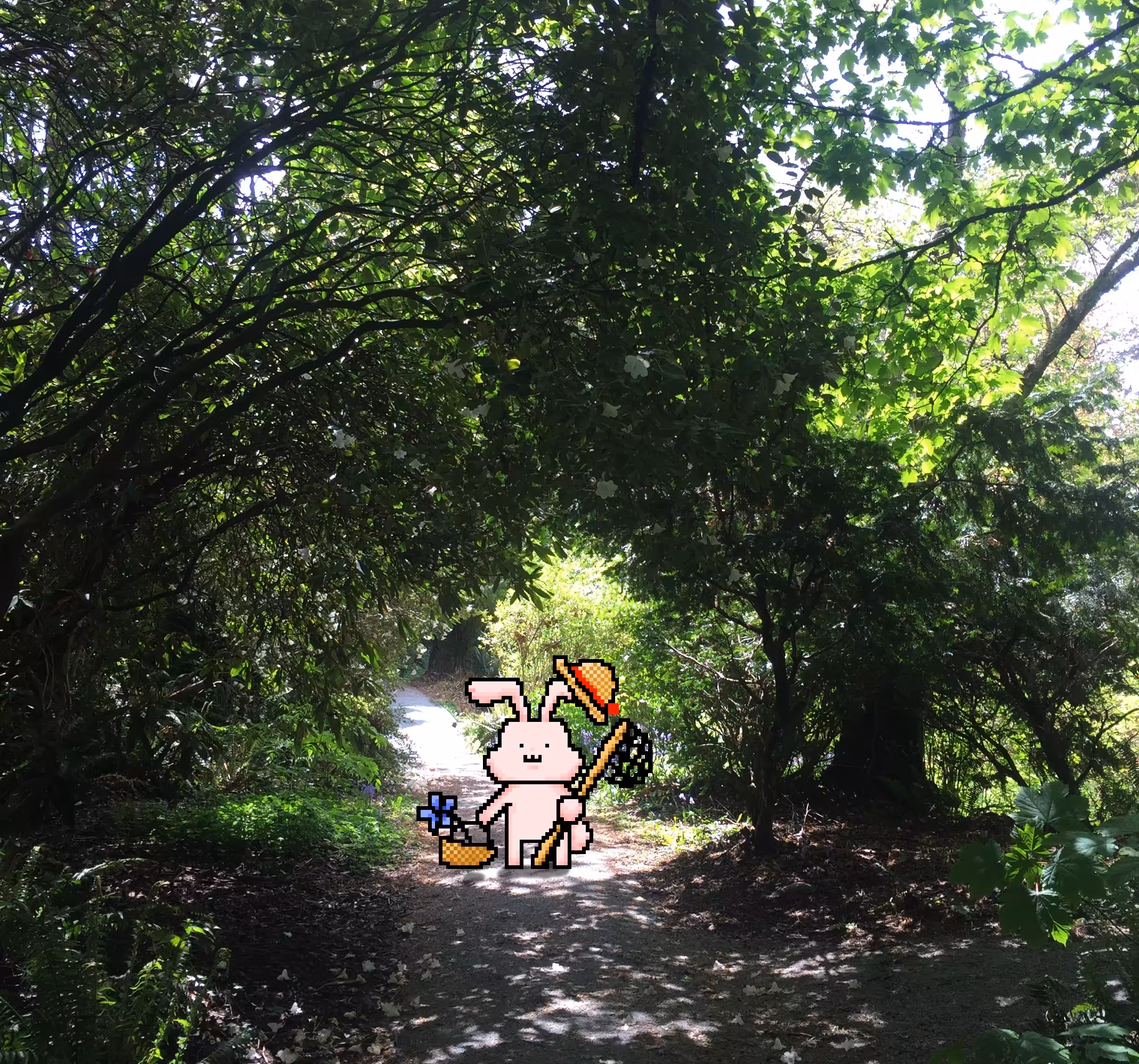 Butterfly Hunter