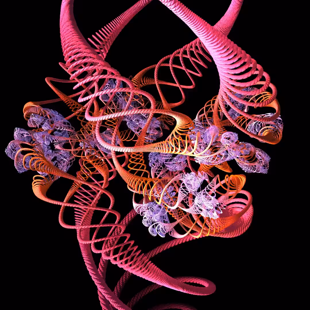 Untangled Fractal 2.0