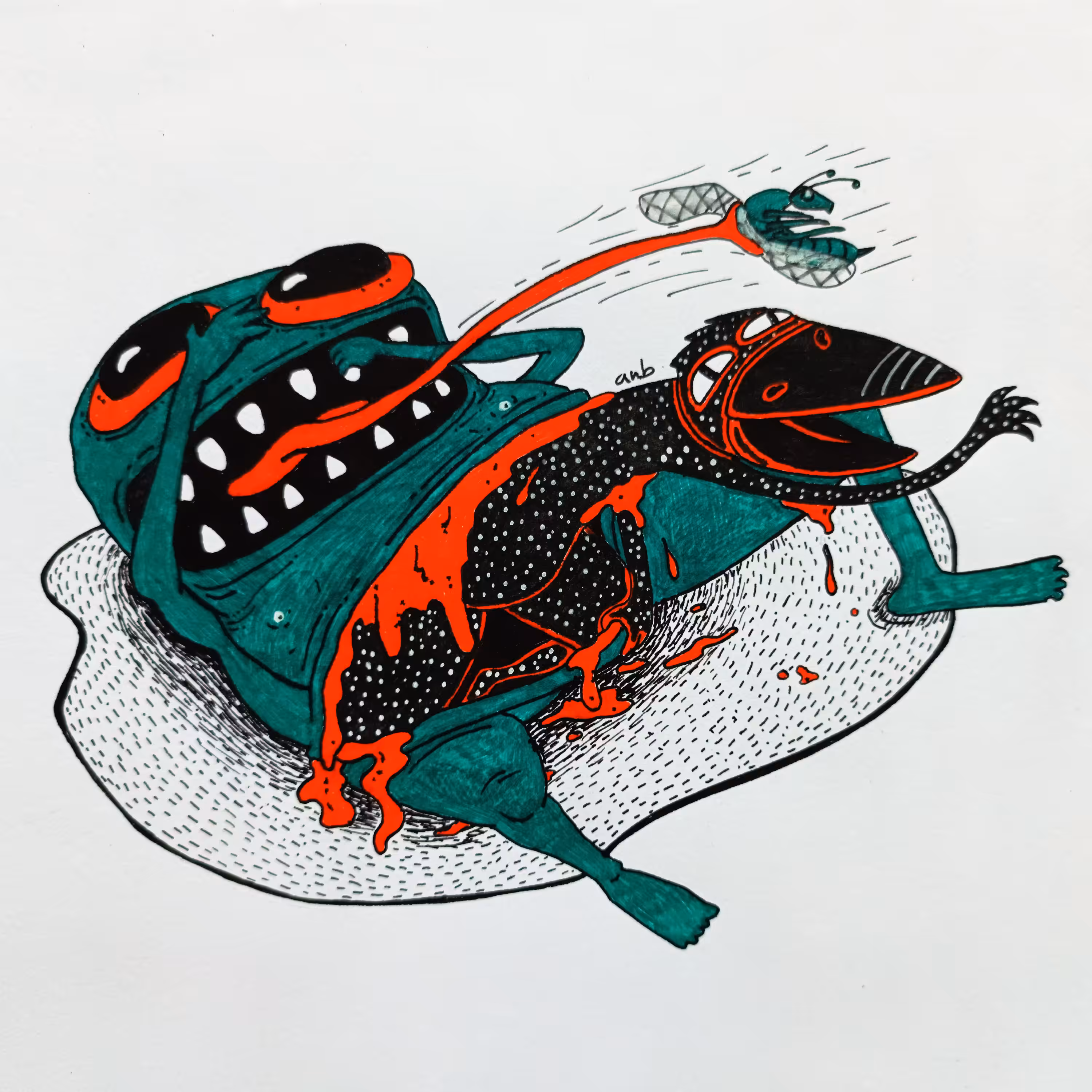 The Frog
