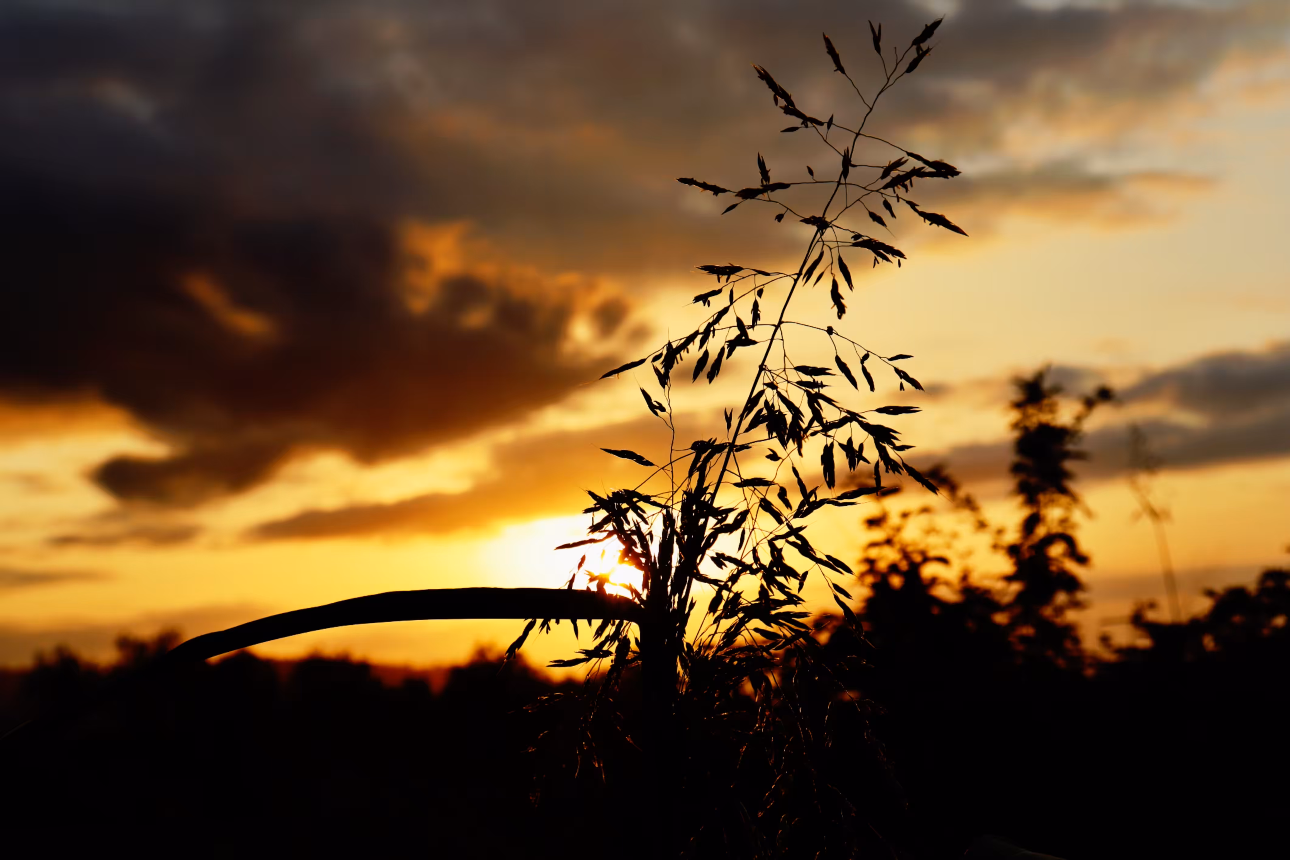 Echoes of Light