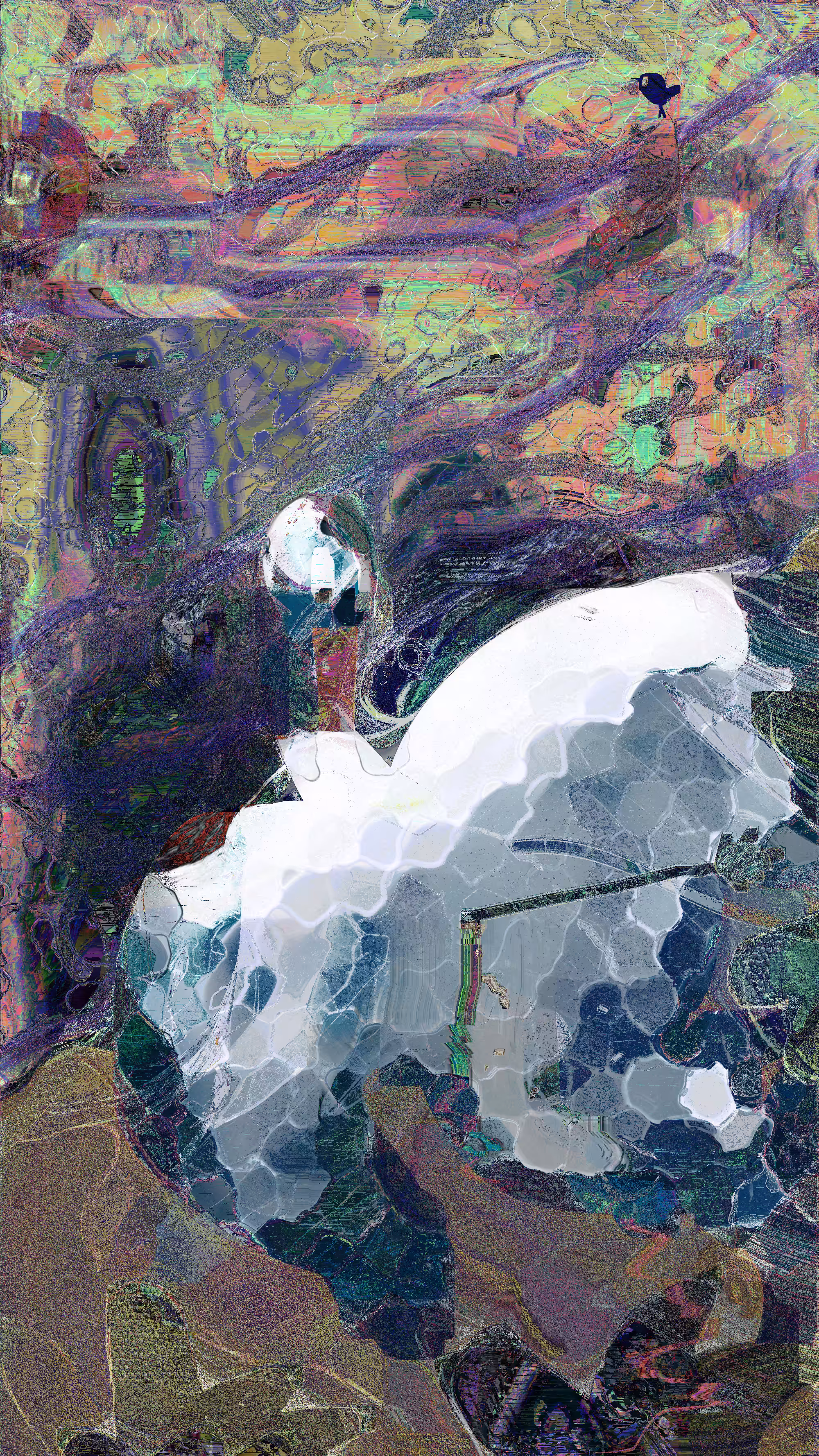 Swan
