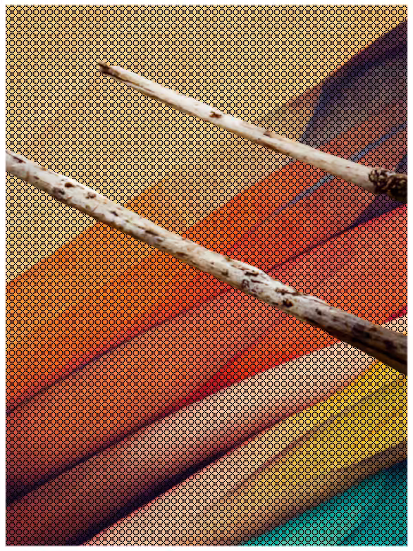 A Warm Autumn #19