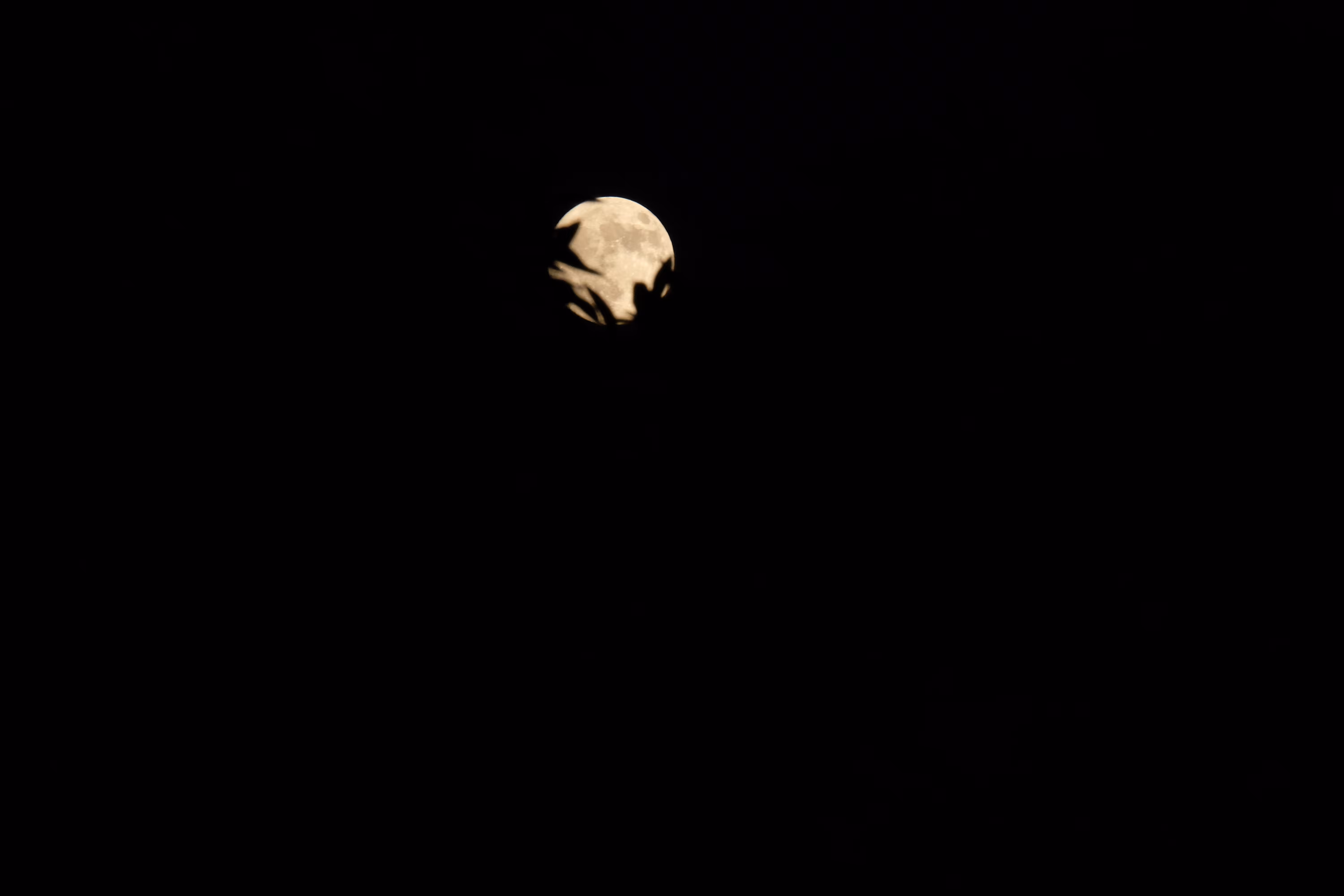 full moon 