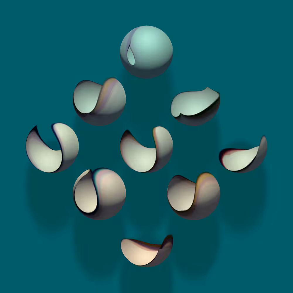 Study #1: Lamina #3
