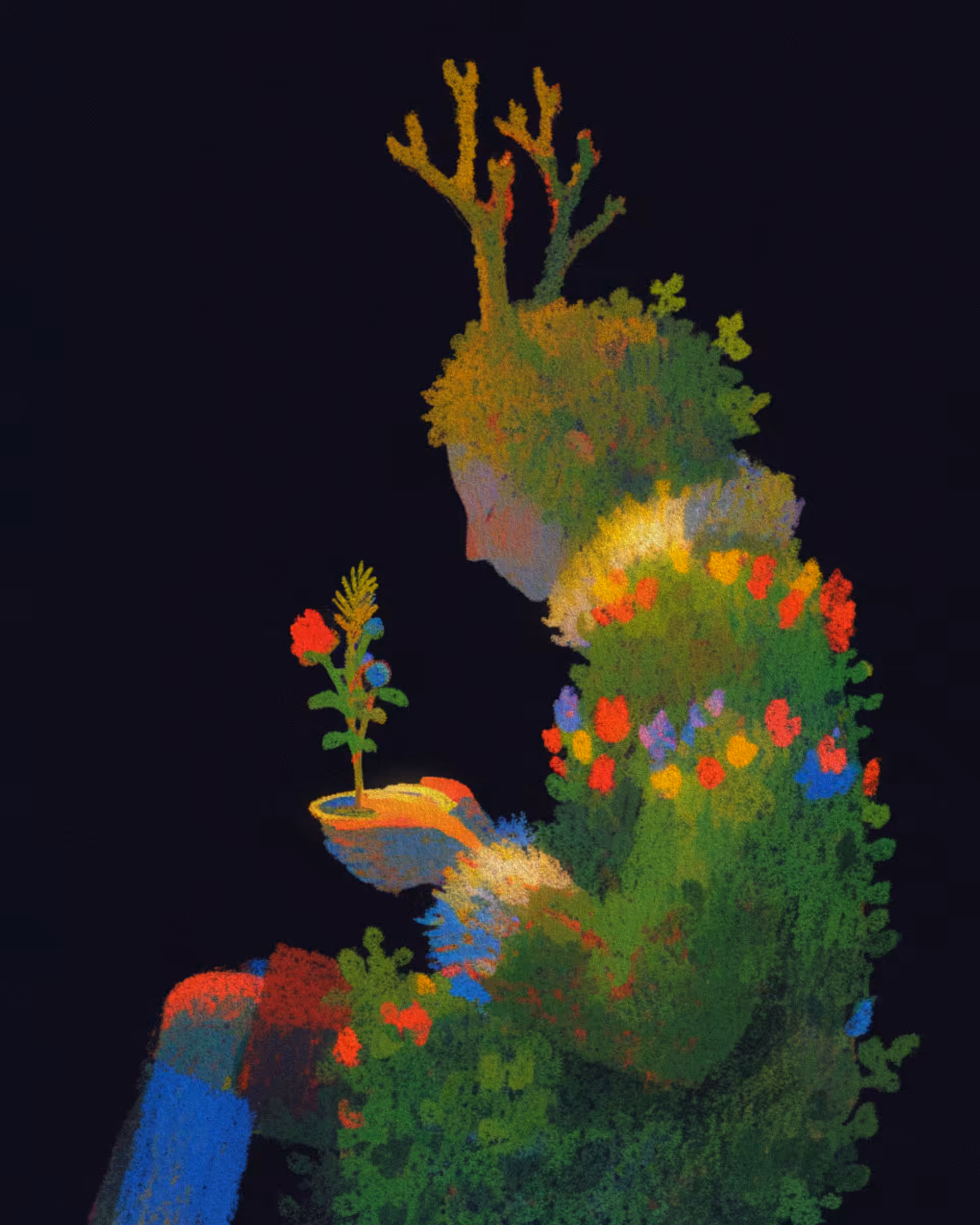 Heart of the Wild 