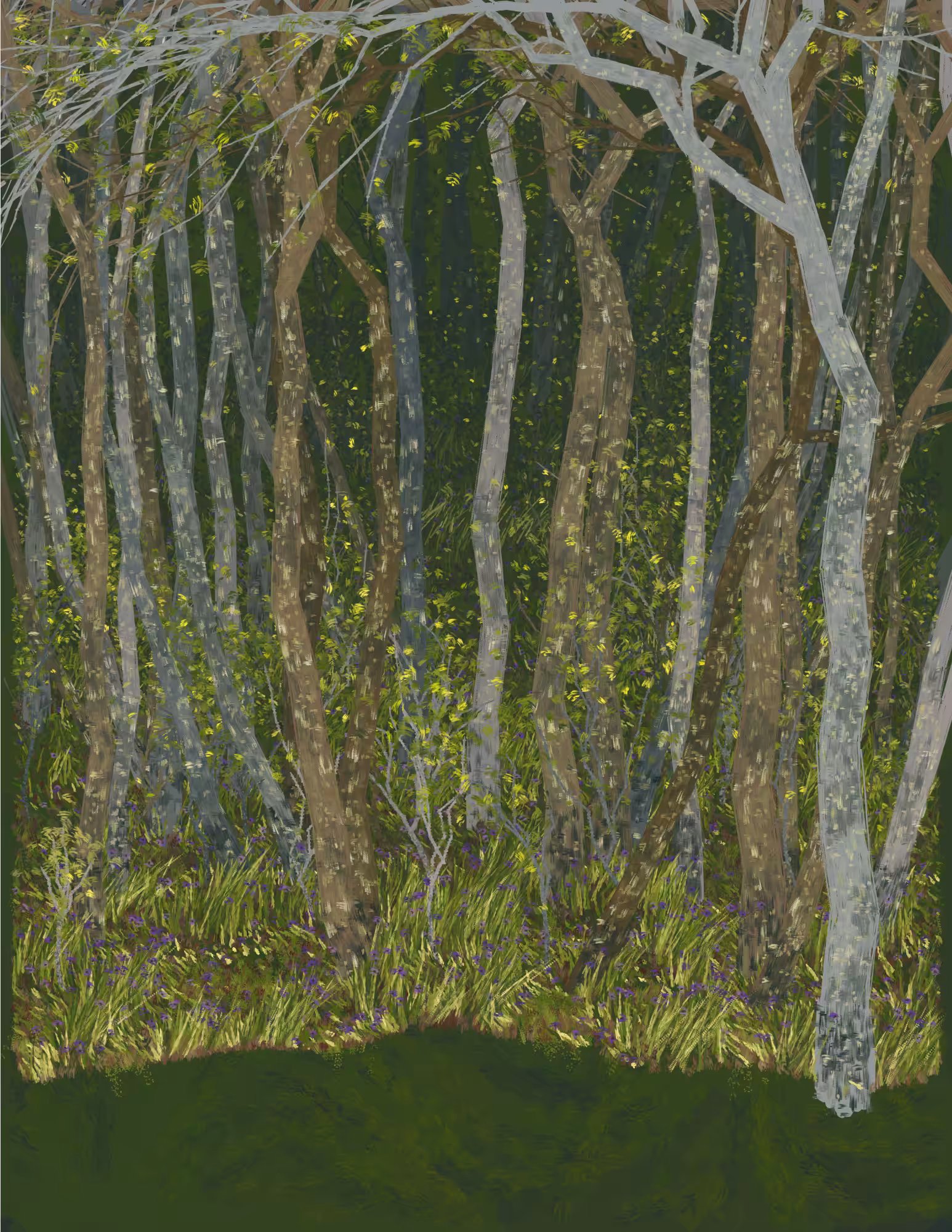 Deep Forest #297