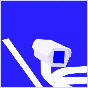 CLAIM YOUR SURVCAM MFERS VIA MANIFOLD.