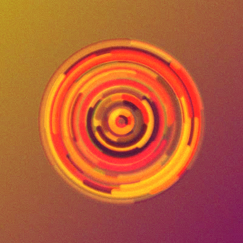Wisp #735