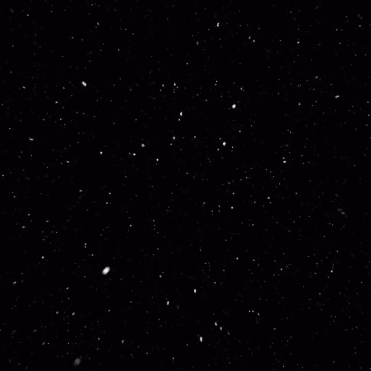 Star Traveler