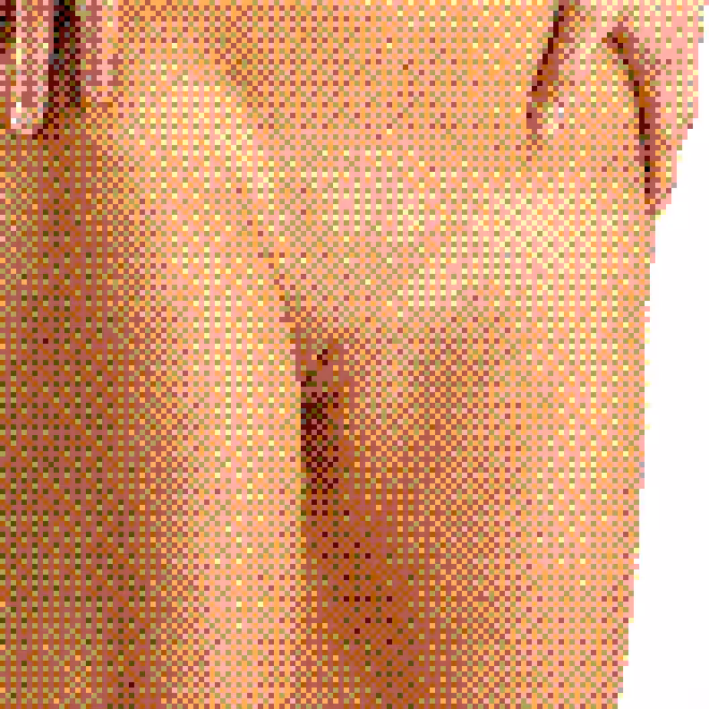 Censored Fragments 206