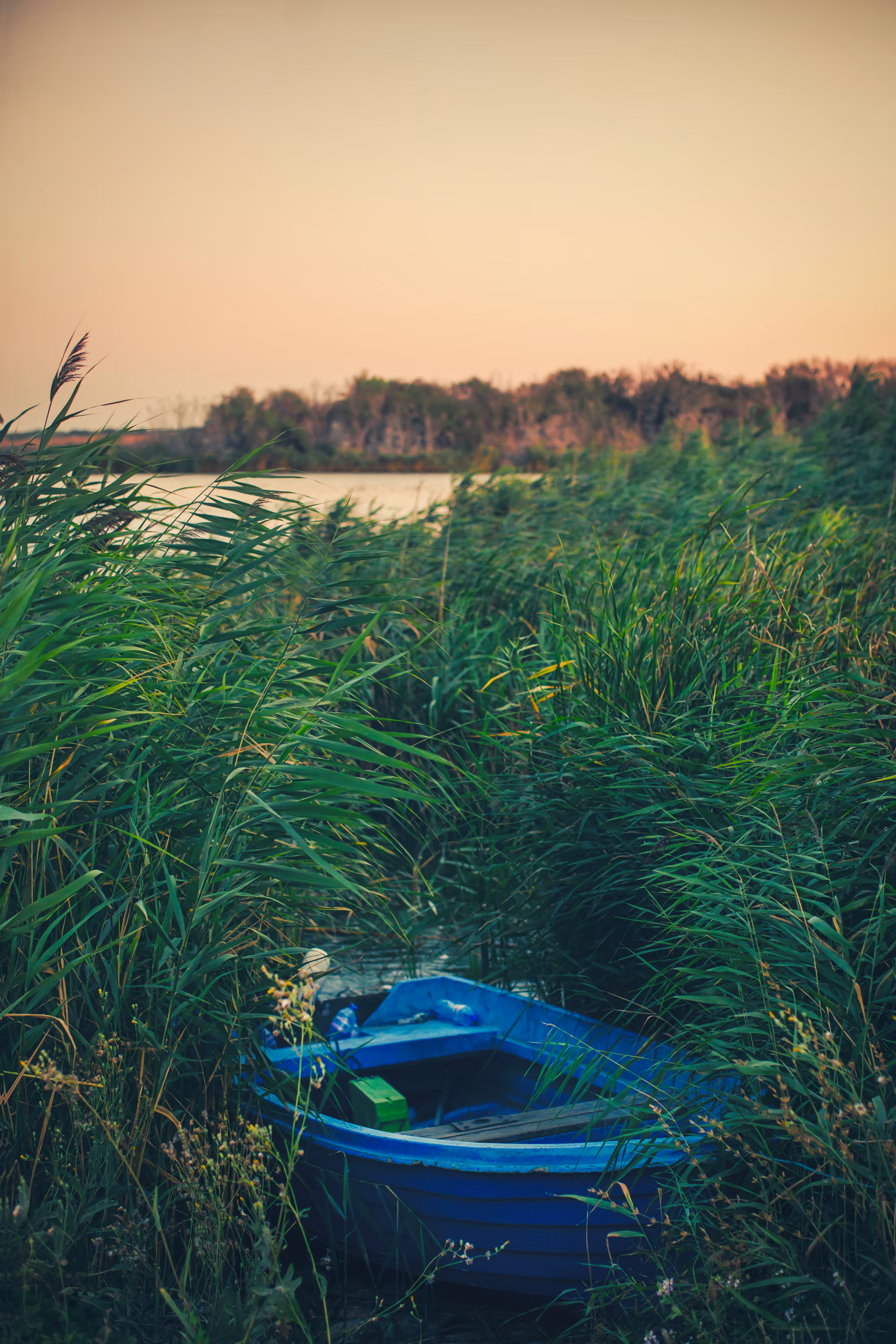 Hues of Summer Nostalgia