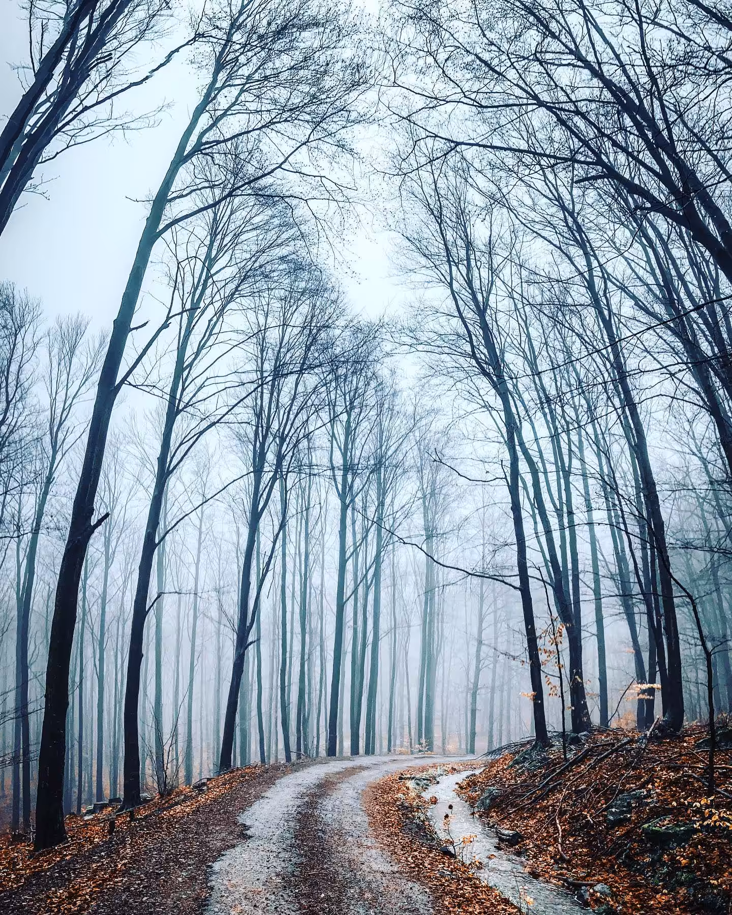 The Winter Bend